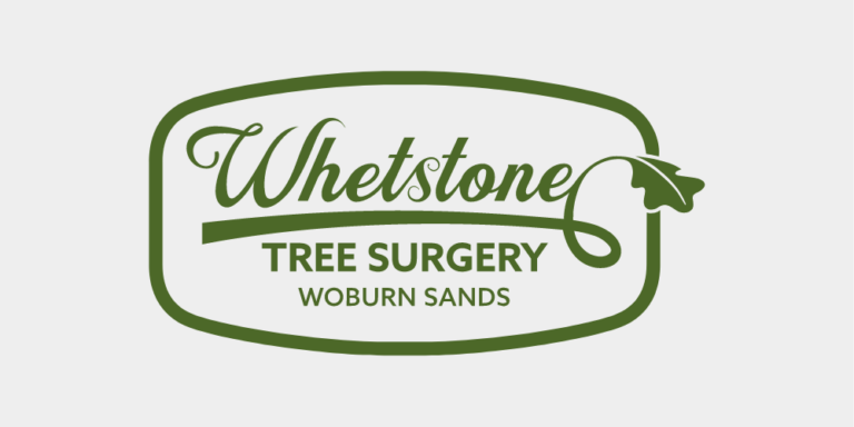 Whetstone Tree Surgery logo, one of the clients for RLVNCY a Digital Marketing Agency Milton Keynes